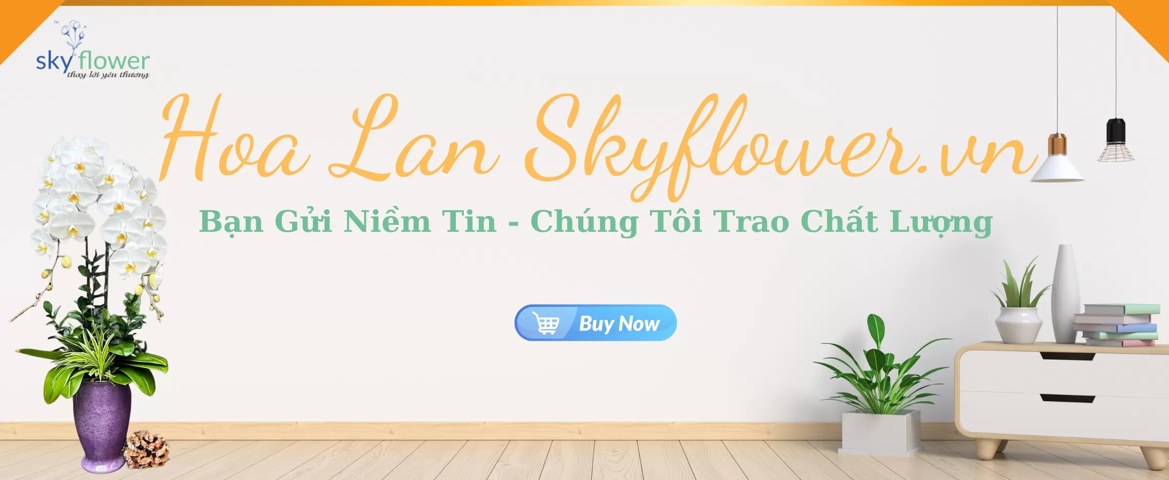 Trang Bia Hoa Lan Ho Diep Skyflower